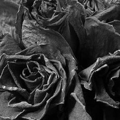 Senpai - Ex ft. S.P.L (prod. CLASSIXS BEATS)