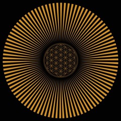 Sadhu Vs Nelumbos - Vedanta (199 Bpm)