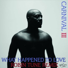 Wyclef Jean - What Happened To Love (Robin Tune Remix)