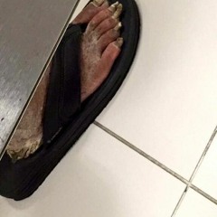 SLIDE - TIM TAYLOR X GRAND