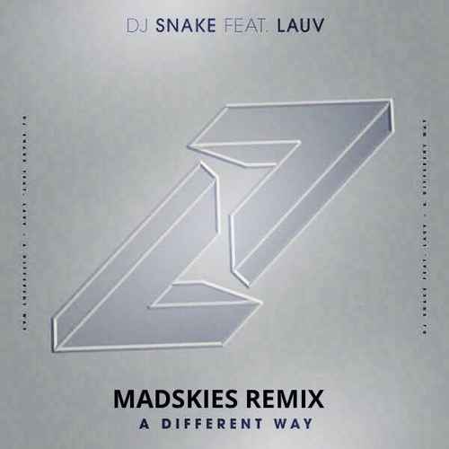 DJ Snake - A Different Way (Madskies Remix)