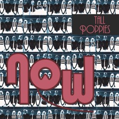 Now by Tall Poppies