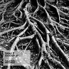 Shai T - Beginning Of Time (Original Mix)