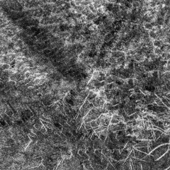 Still Standing (prod. Clamptree Castillo & mic myles)