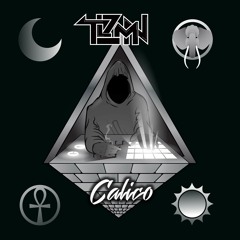 TLZMN - Calico