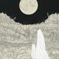 ShapeShifter