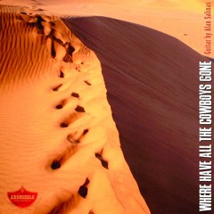 785 Where Have All the Cowboys Gone (Guitar by Alan Salinas)