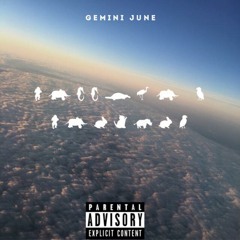 Gemini June - Dip