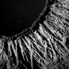 Deep, Dark, Dubbish //
