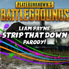 Liam Payne - Strip That Down PARODY! PUBG Song!