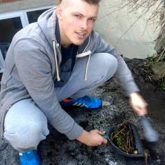 Self Depreciation Demo