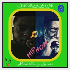 Meddling Loops - XCALIBUR