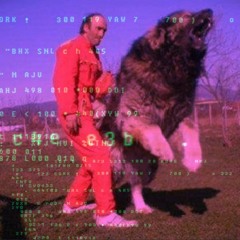 Hacked by a Russian Bear Dog