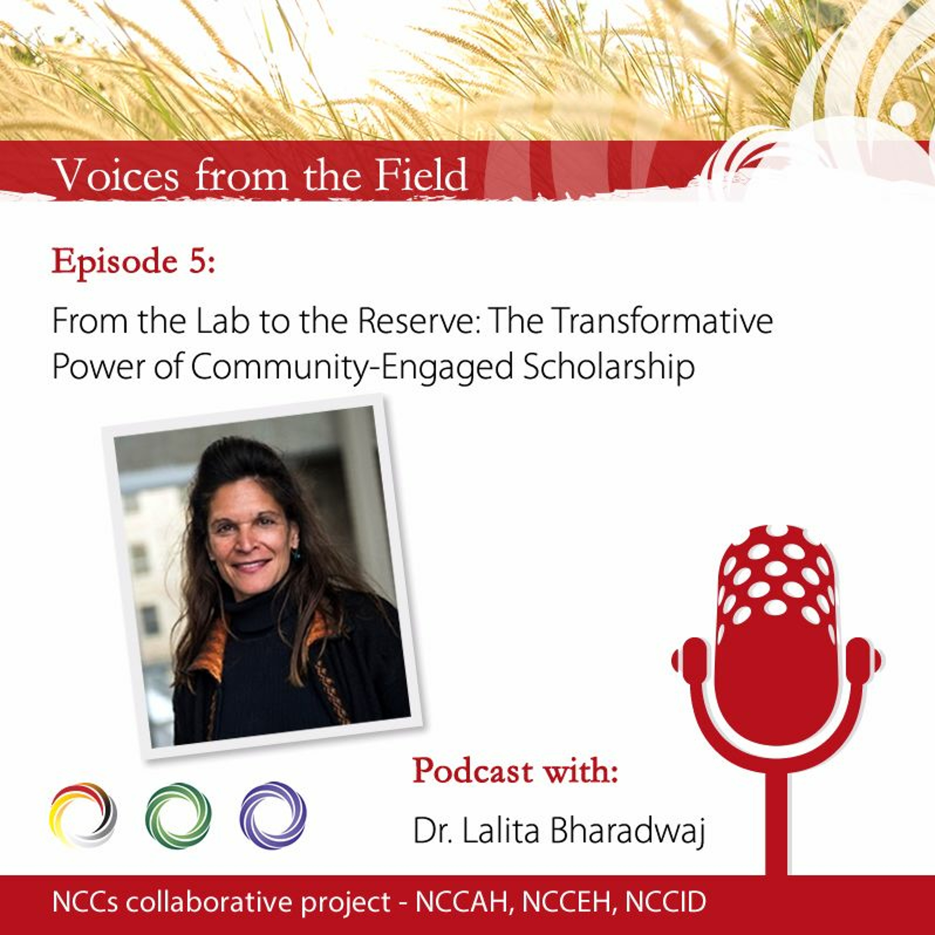 Voices from the Field