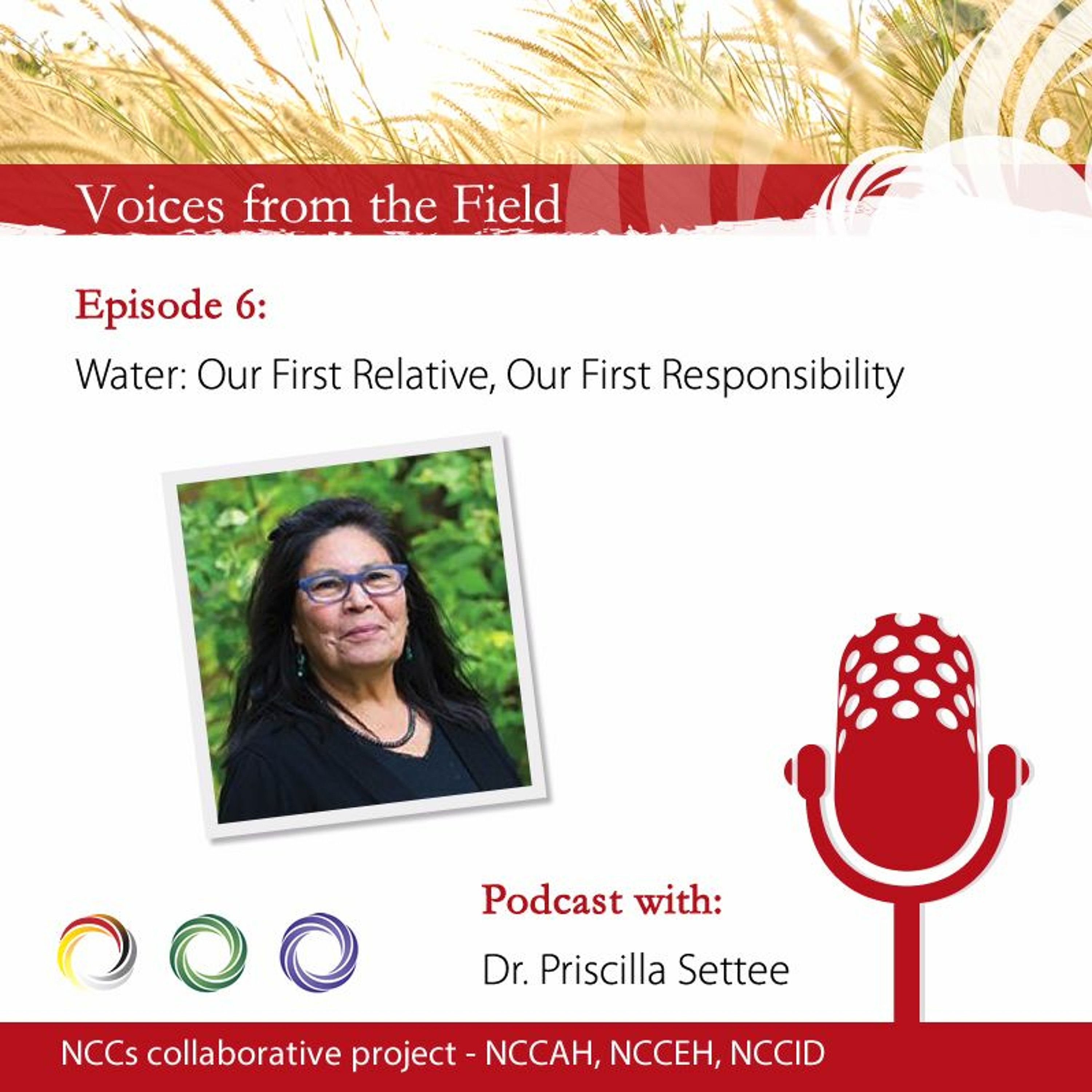 Voices from the Field 06 - Water: our first relative, our first responsibility with Priscilla Settee