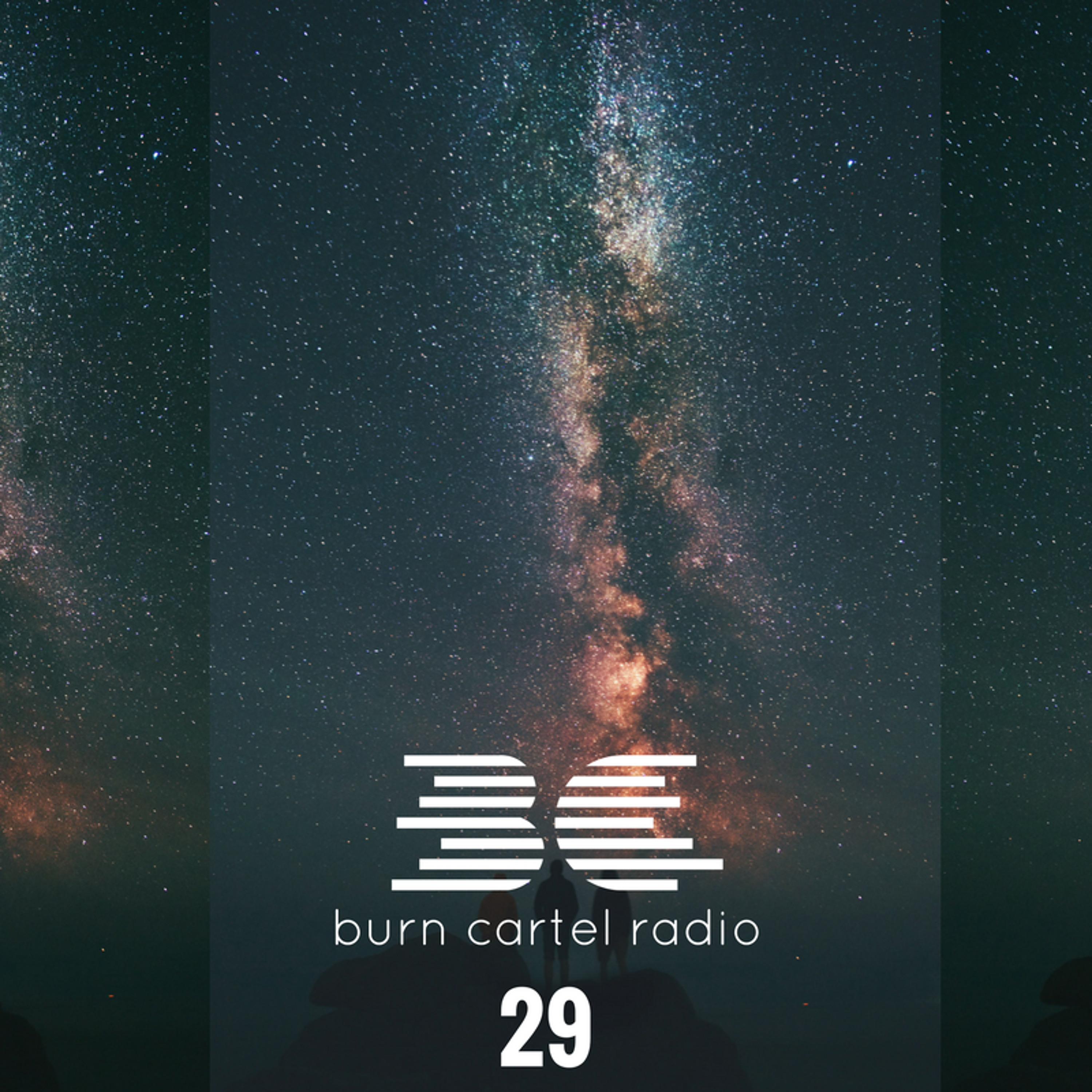 Burn Cartel