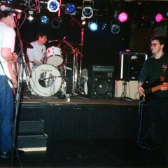 The Clean - Fish On Dry Land (live)