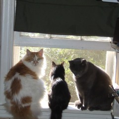 EBDGAD tuning - 09 - 26 - 17