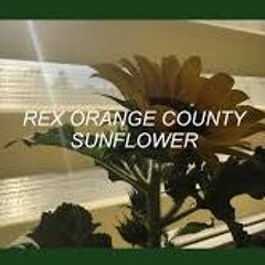 ʀᴇx ᴏʀᴀɴɢᴇ ᴄᴏᴜɴᴛʏ - sᴜɴғʟᴏᴡᴇʀ