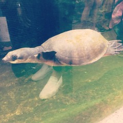 明日を落としても 20170927 152712