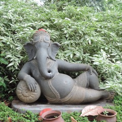 Podcast-17.1 Leftfield House