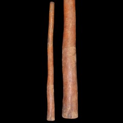 Overtone-present desert didgeridoo Ulpanyali NT