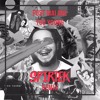 Post Malone Too Young Spirtek Remix Mp3