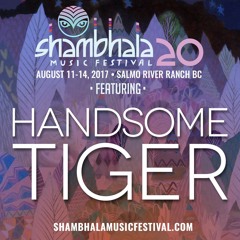 Handsome Tiger - Shambhala 2017