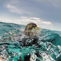 Twerk King is Back - Trap Twerk Hip hop Rap