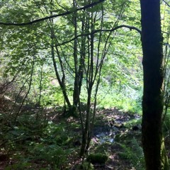 Retro Resonance -Good Old Times Welcome Friday Remix (ARGAMAN)