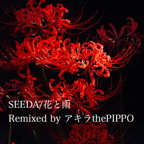 花と雨(Remixed by アキラthePIPPO)