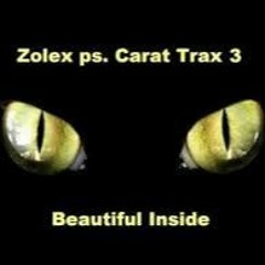 Zolex - Beaufiful Inside (Fact & Law Rework)