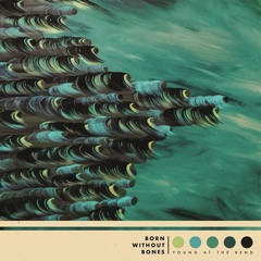 Born Without Bones -  Fool