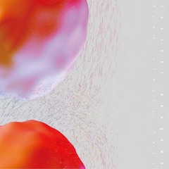 Hz - CD004 |  Junichi Akagawa - "Consistency Test" album trailer