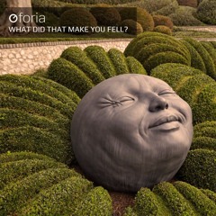 Oforia - What Did That Make You Feel?