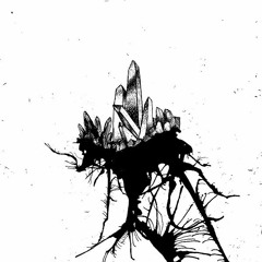Eloim - Nobody's Land [NFRWD03 | Premiere]