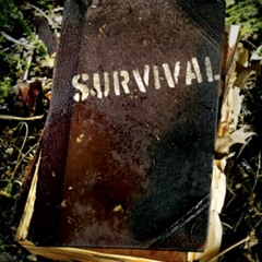 Survival-Kyng Ray ft D dubb Murder and Velli 17.mp3