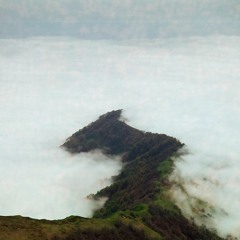 Greenbeam & Leon - WRF Podcast 009