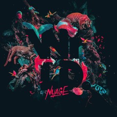Nuage х BAILE - Canvas (WILD - Project: Mooncircle, 2017)