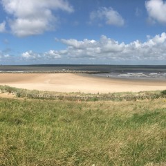 BLOOD BANK (BON IVER COVER)