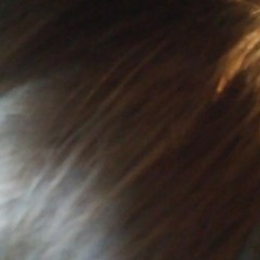 Polo Boi Shock - Rats(prod.LoLife/Polo Boi Shock