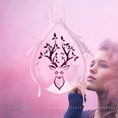 Electric Bodega - Collide (Featuring Eric D'Alessandro)