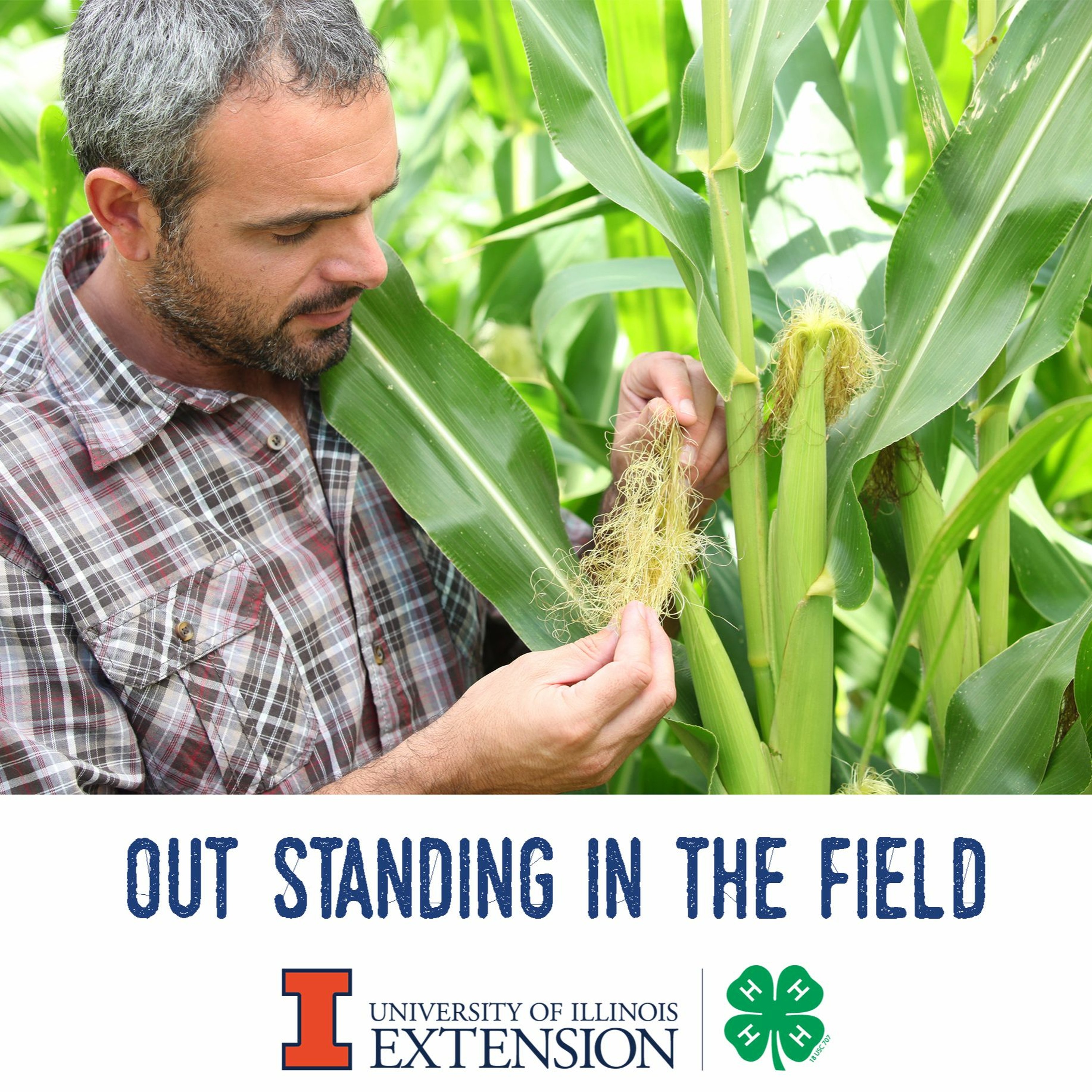 Out Standing in the Field