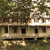 Artwork for Covered Bridge