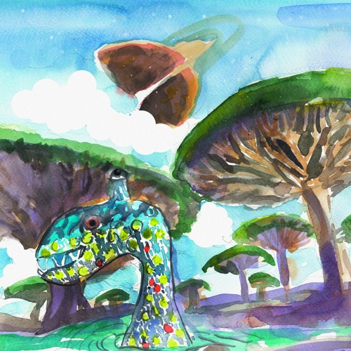 MXD Above The Clouds