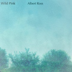 Wild Pink - Albert Ross (acoustic)