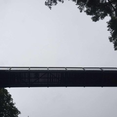 paralysis - Duat Rec. Showcase at AWAY [ ://about blank ]