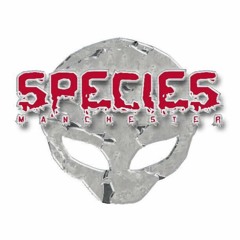 The DJ Producer Live @ Species 23.09.17