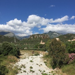 Morgen Meditation - SanseRejse DANSK