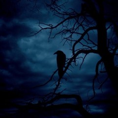 Allen Oh & Caustic-Spark - A Fall Feeling